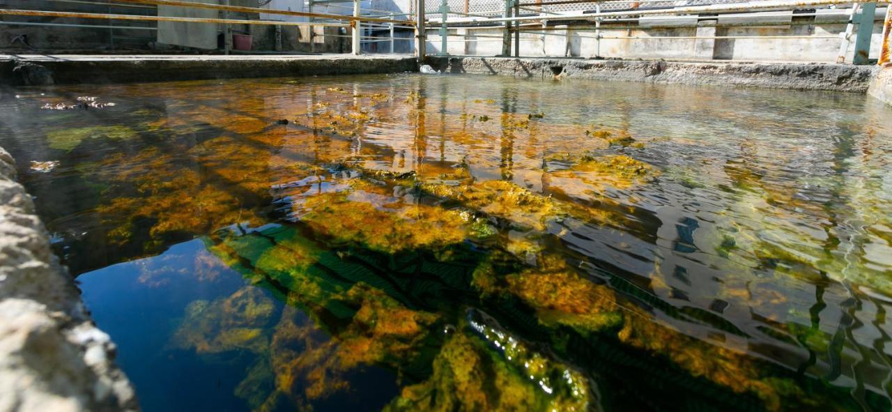 Hotel Quisisana Terme Abano Terme Esterno foto